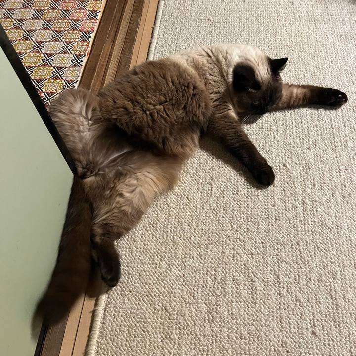 70fdad77 2c6d 4b0e 9de1 4e4d98437a7c 1653653611467