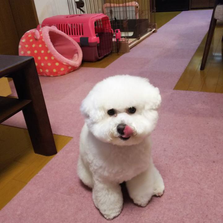 70fdb50a 7da6 4d2f a697 856a0c784178 1522380961668