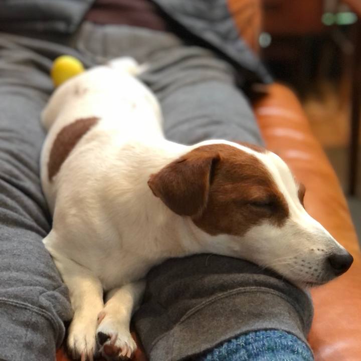 70fdf677 f1a2 4413 a687 2b23f3aa2cd4 1618742385912