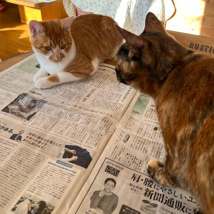 70fe20cc 83e7 4076 ab64 abcd39af3ebc 1673917897562