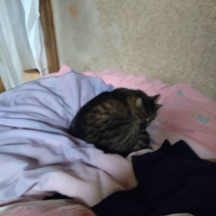 70fe2dfa f70b 4c93 90c4 b3c1fdd1d30d 1706139619544