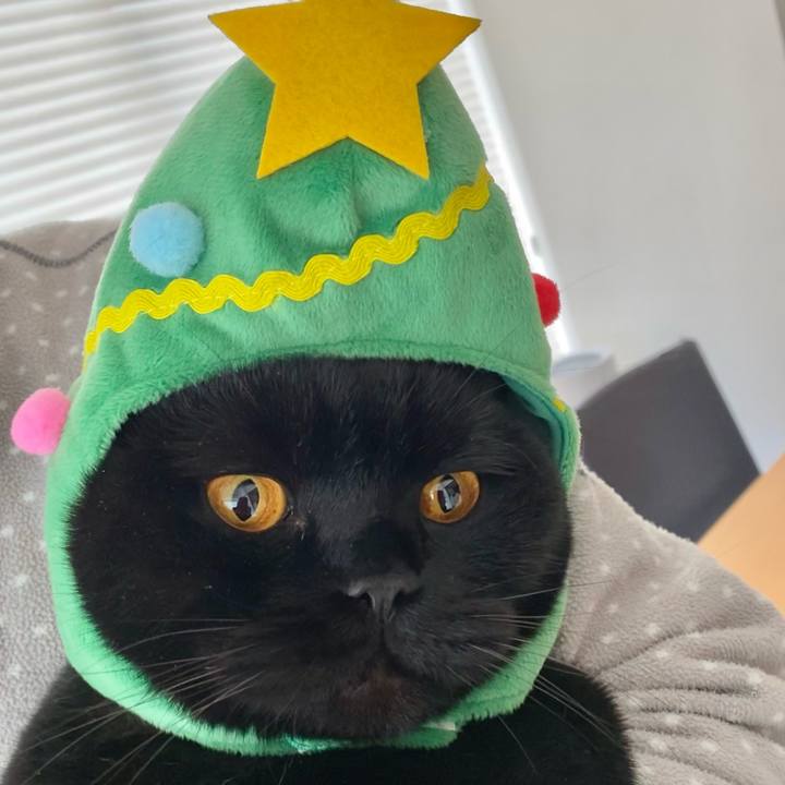 70fe55ba abb8 4788 a1b4 e99ddd3ec7f4 1608851753396