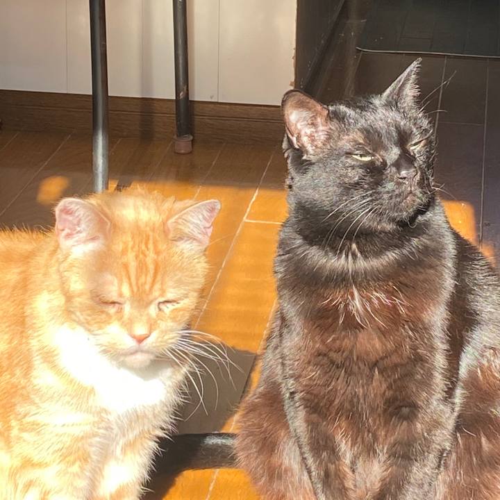 70fe940f 8bcb 4770 8a0f 2e58f044251d 1578624020072