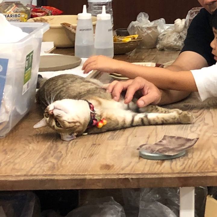 70fea6f3 8638 4114 9b84 1e142b0e8e1b 1594813373432