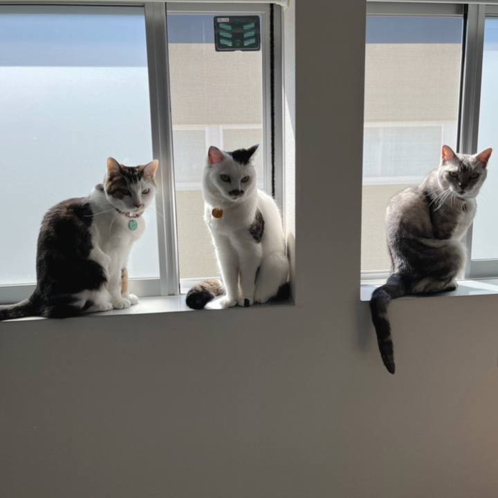 70feb606 2676 4906 b042 c5ed5096eb0e 1650511040110