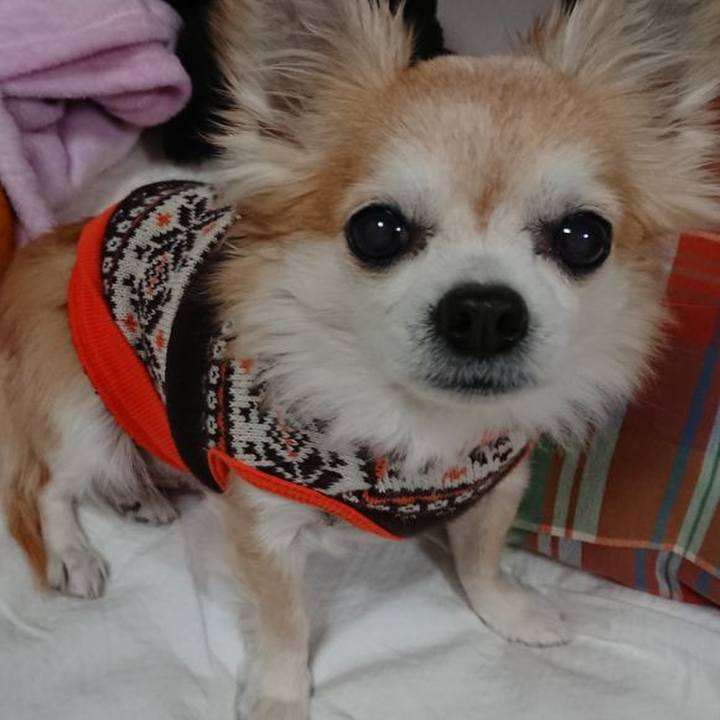 70feb767 3f48 4500 bbaf a27ea523e9f0 1542713878106