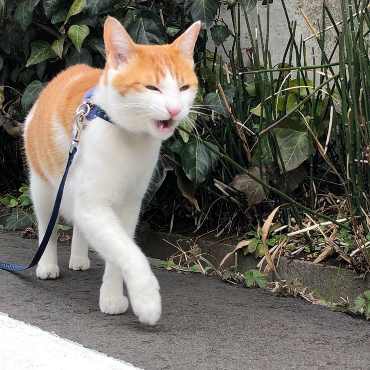 70fec97e b21e 4431 bb7a 9e5aa67d5d54 1553920799872