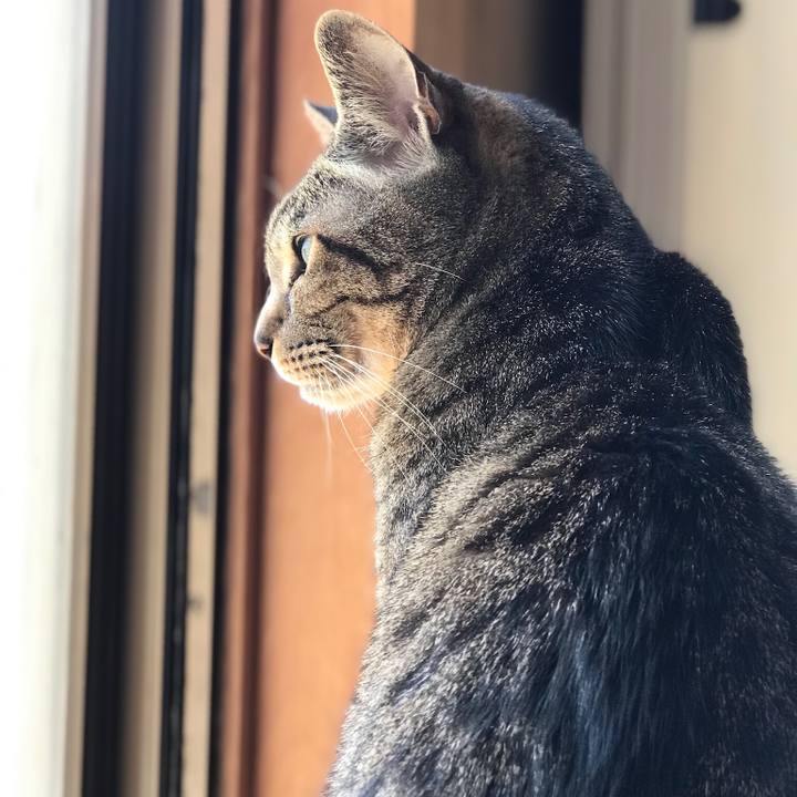 70fed43f 2d45 4825 b9c6 bf2a52513e6d 1526346640481