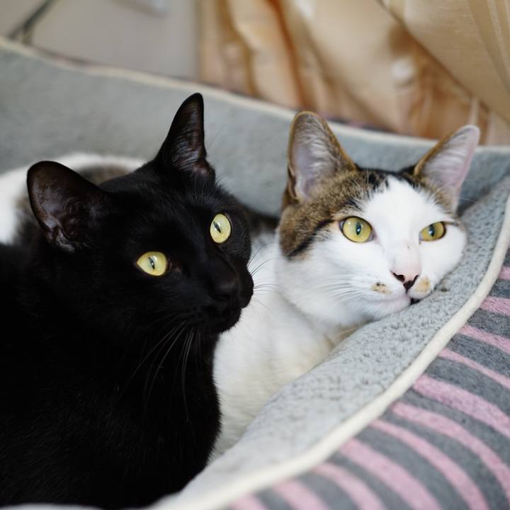 70fee765 6073 415c bed9 eed9910a6933 1554421408106