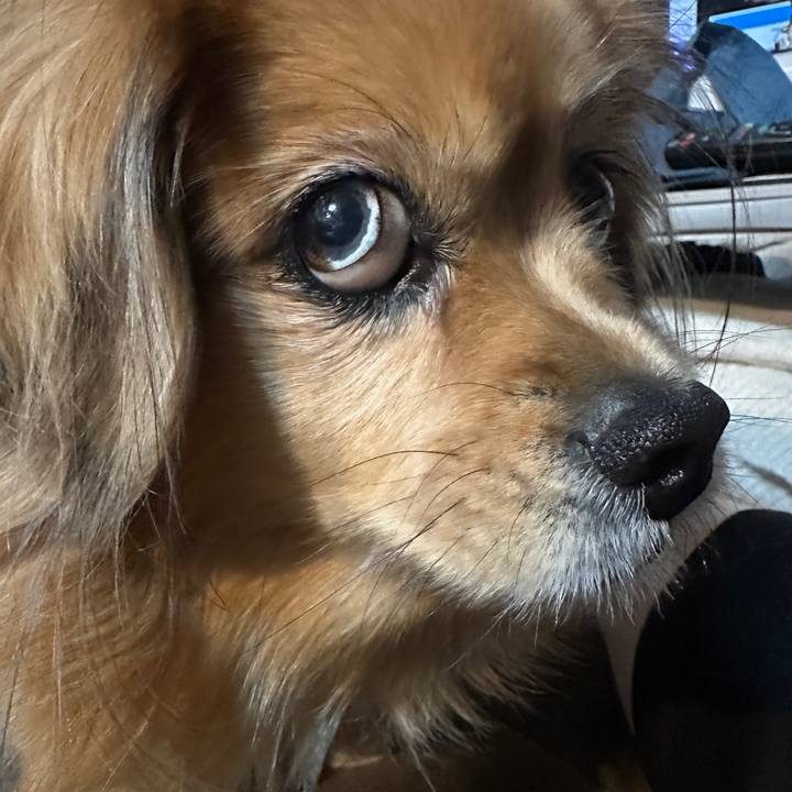 70ff0900 c791 4d0f 8db5 c719e0f3d4f2 1733174227032