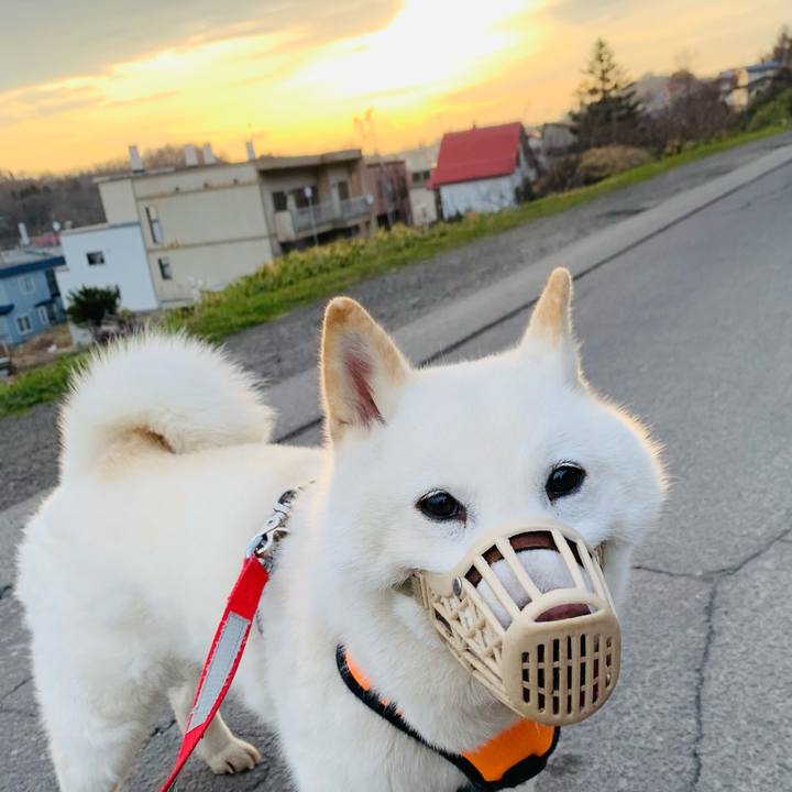 70ff2989 a448 4b1a 82f9 8f217407ec4a 1618261615207