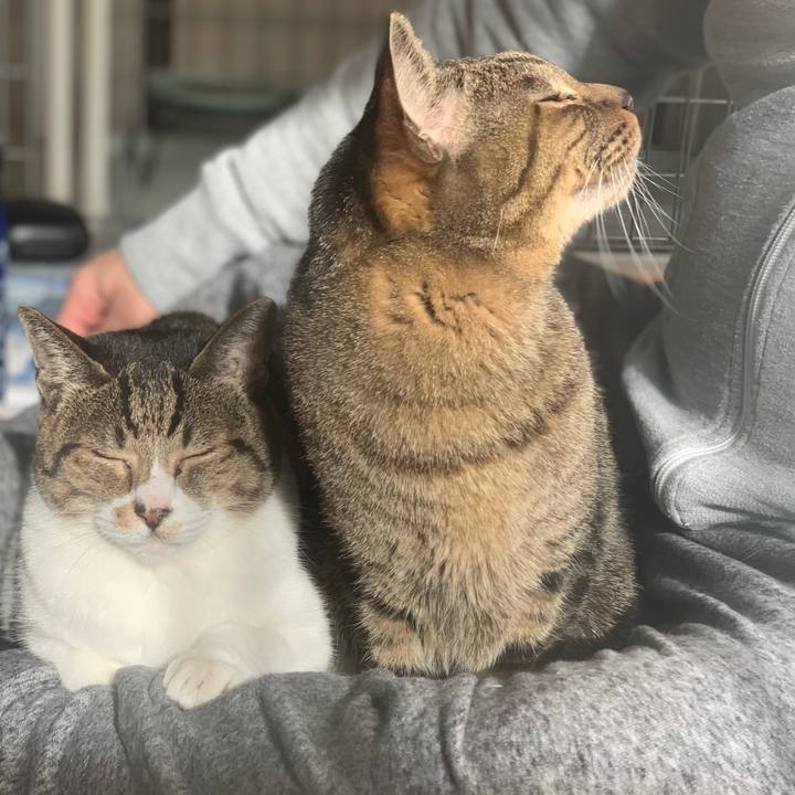 70ff82c0 9d44 4414 88a2 6f3ee43870cc 1576198815875