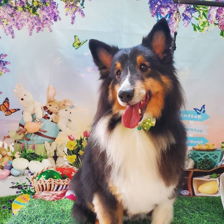 70ffabb9 f56a 43d7 bf8b 2948a194688c 1736848182168