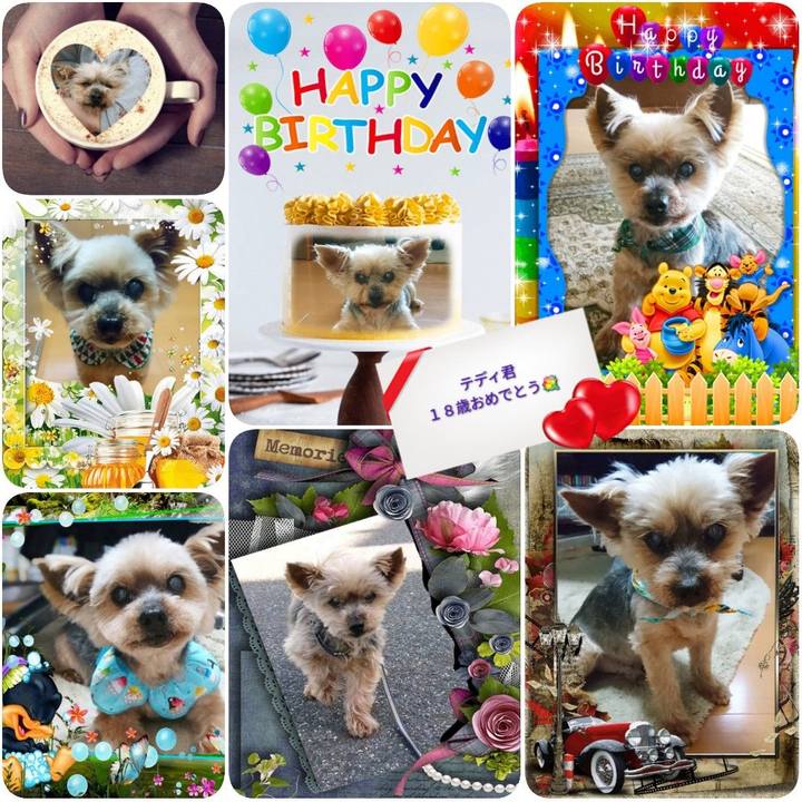 70fffbfc 155e 472e 8fbf 7bb0b4d864f2 1585520150734