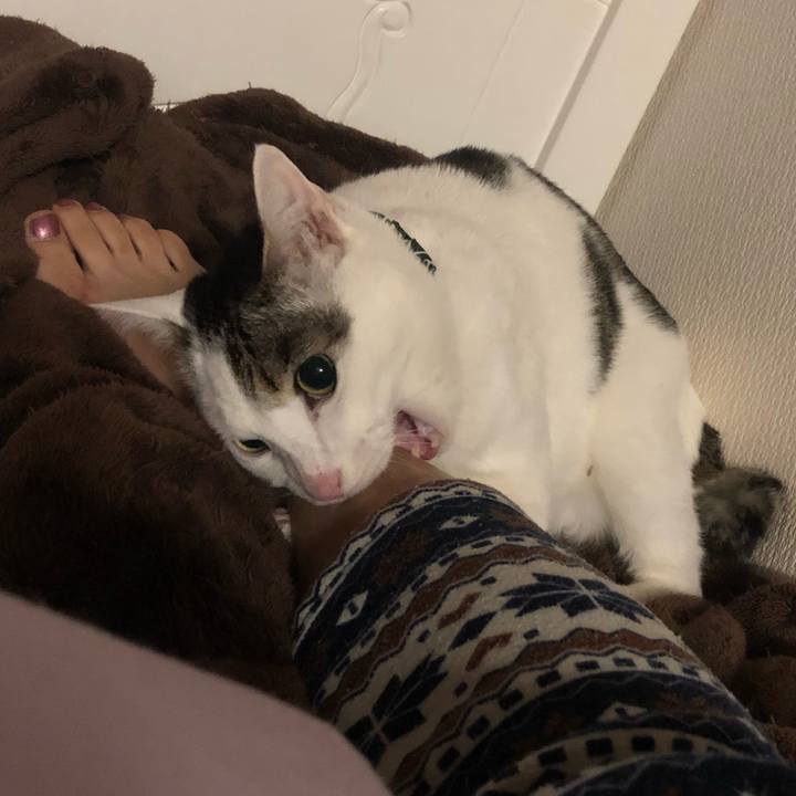 71001bec 5713 4c2d b0ef 90e3b9091f4f 1550832744550