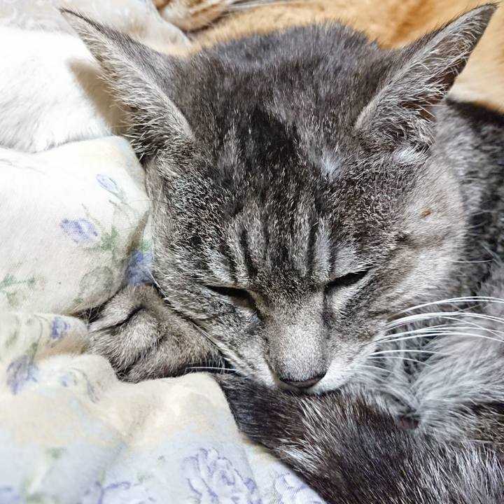 7100293b 69ef 417e 8842 95d42b463b3f 1580043474624