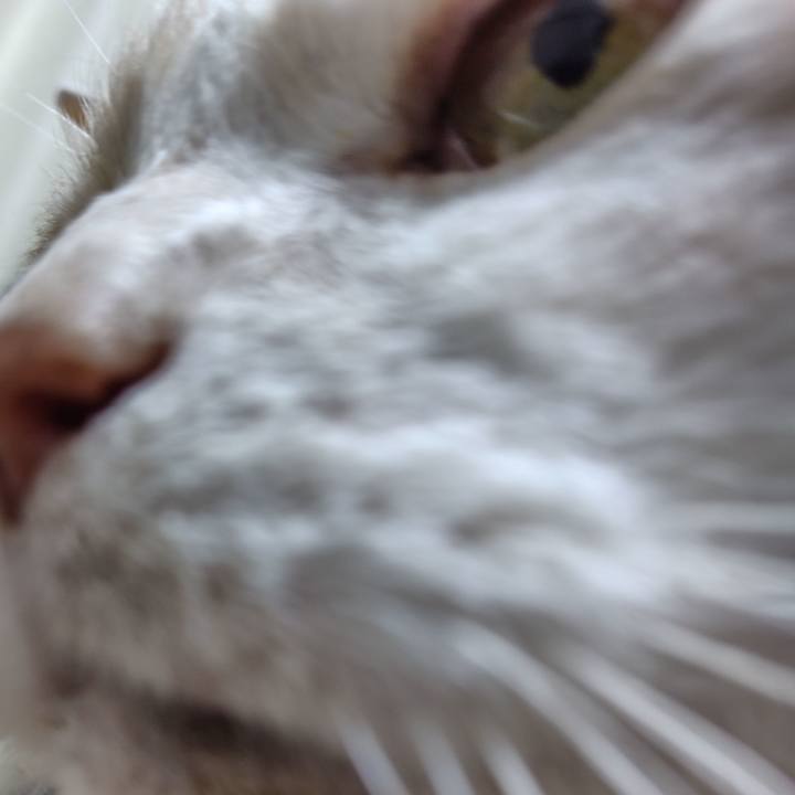 71003da2 9a62 4474 849b 51ccbd9bef02 1718459112790