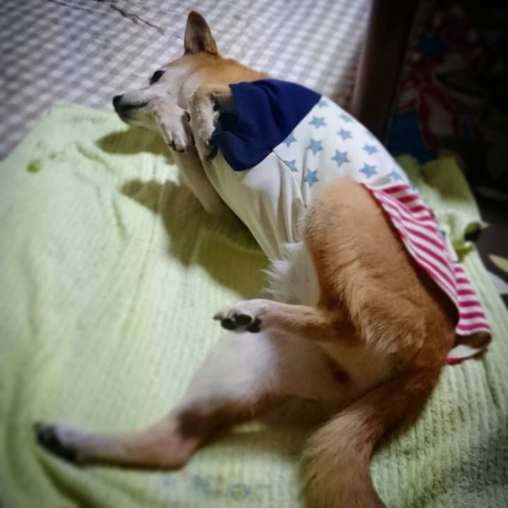 71006315 75f2 408f a002 66c69c675d1f 1541240211538