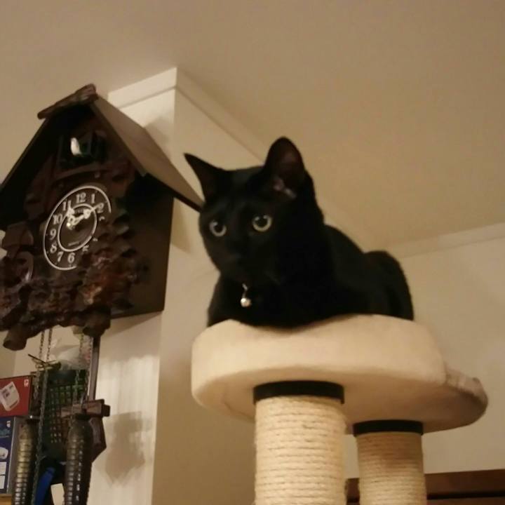 71006999 fd22 450d ba92 a7501ed5042c 1519380854871