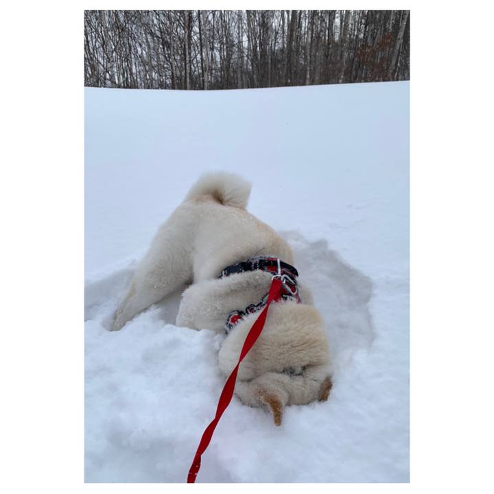 71008438 a4fc 4eb6 9a88 9844674f0e13 1609203583595