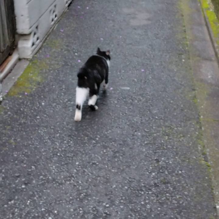 7100b29c 5667 4ca5 bb39 6666ae3e0731 1700724525634