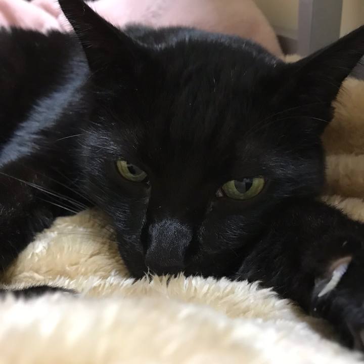 7100d0d9 b6d7 44ec a483 0fae44a182d1 1515027001785