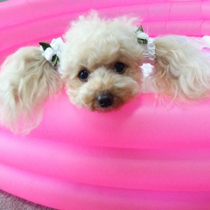 7100e4b1 b856 43d1 88d8 5733067810dd 1530529585977