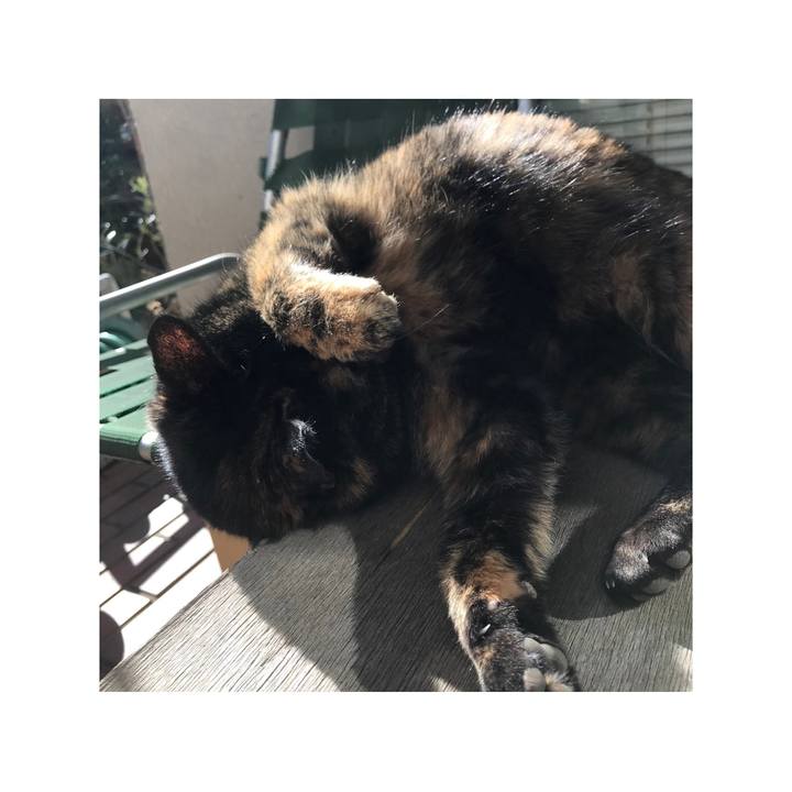 71010760 8986 4f5d b1f4 c0262321d849 1609982726009