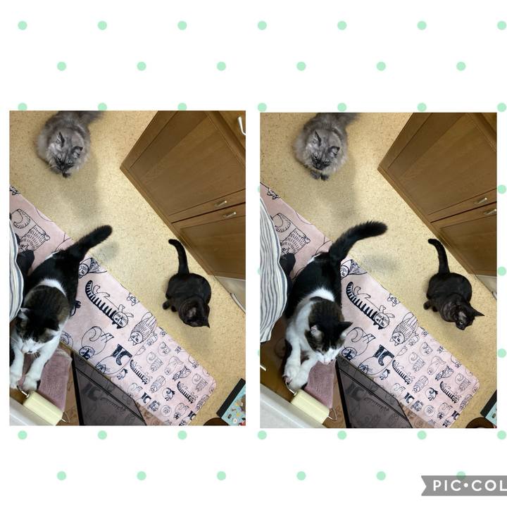 71012305 0817 4167 8f2f 8c412863b369 1713653744418