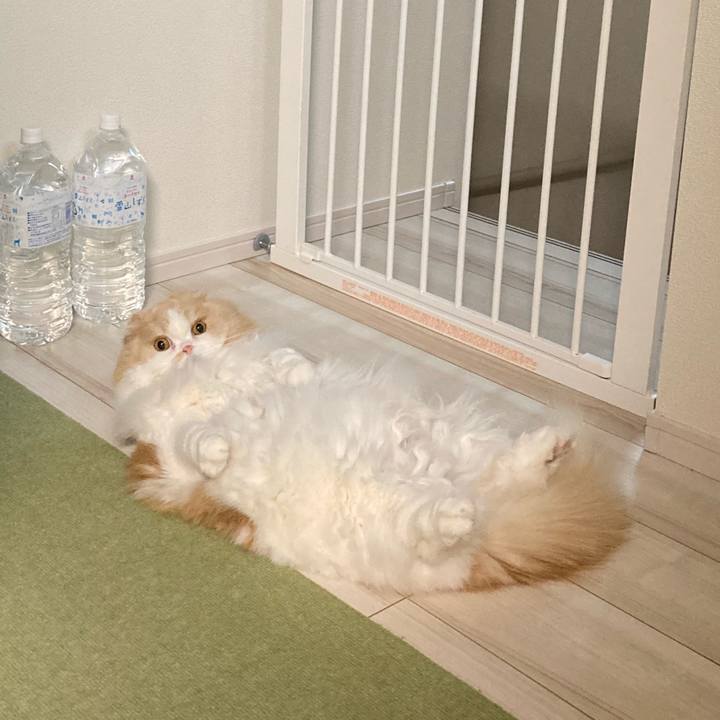 710131c0 6165 4c76 b018 410c9e206831 1613775749082