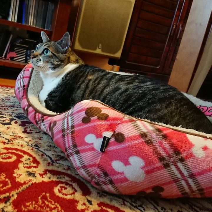 71014170 760f 476a bb62 be6181be214a 1520469221056