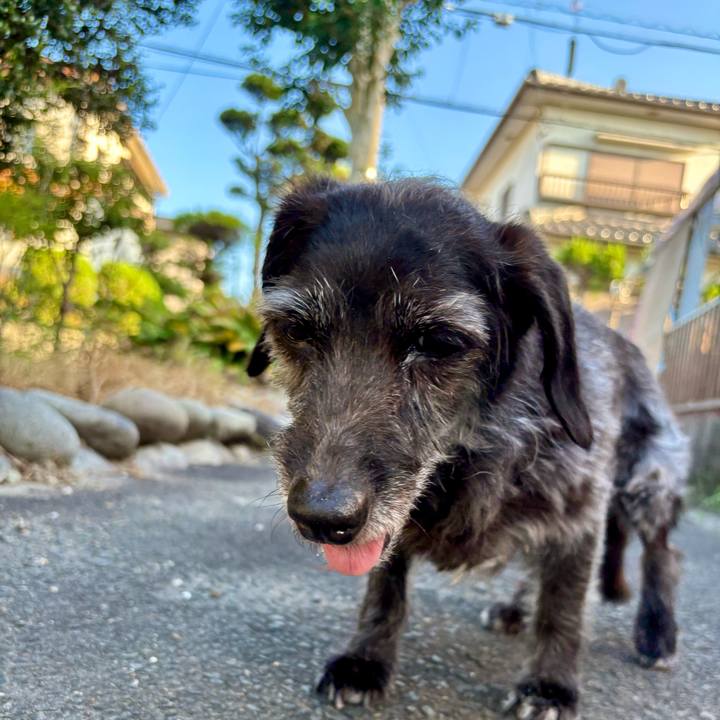 71016fec e16f 47b1 b1c2 f4759dac6996 1753313386404