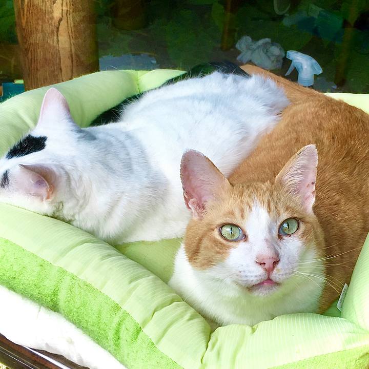 7101e6c7 9f0d 49b4 a9d2 b73658e85c41 1596405333423