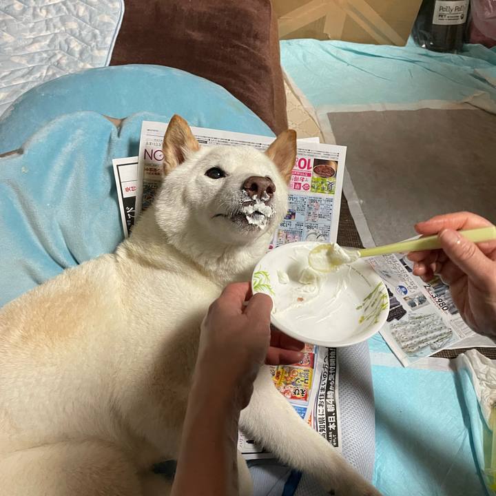 7102207e 1dbd 4425 9a88 67473625a69e 1654099922839