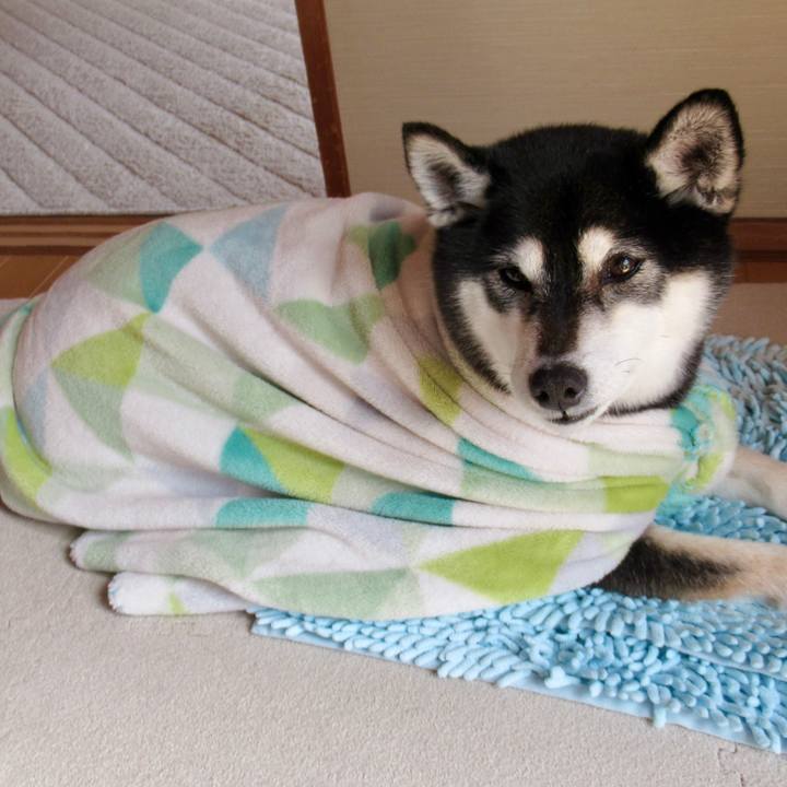 71028294 1904 4936 8bc4 9e7c484d981b 1676163199536