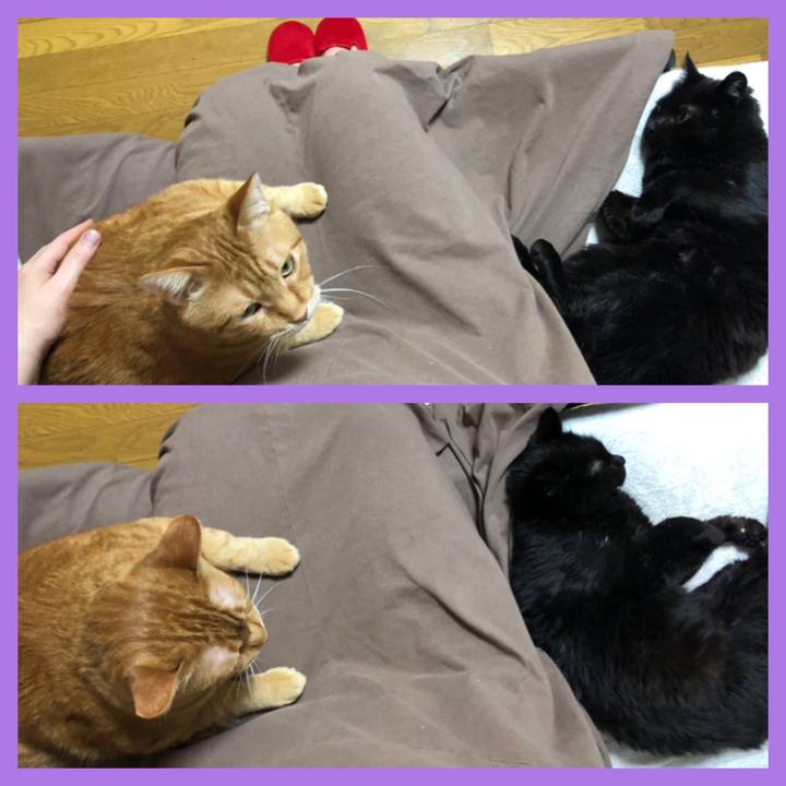 71028d71 3ce8 4ea3 a06d 930639a5c2a8 1614253810160