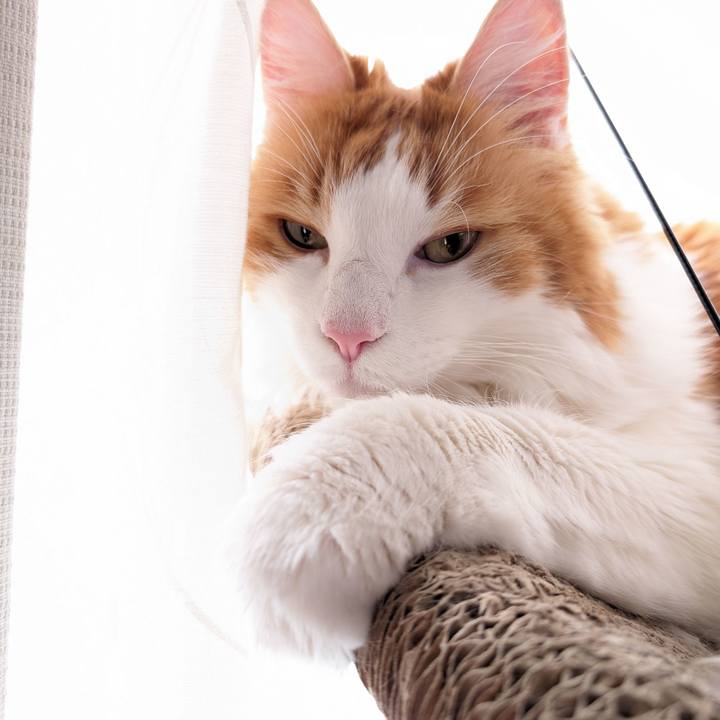 7102b6de 8987 4fb5 91ca 196e0f9f6be6 1703123504018