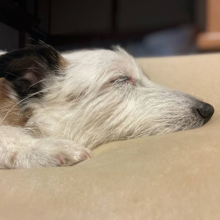 7102c9d3 947c 4770 b55a 46155068f27f 1745582081576