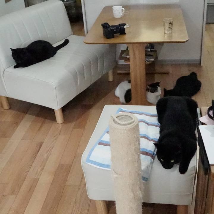 7102cc72 b330 4671 b30d 4d7eb3a2d76c 1567382877056