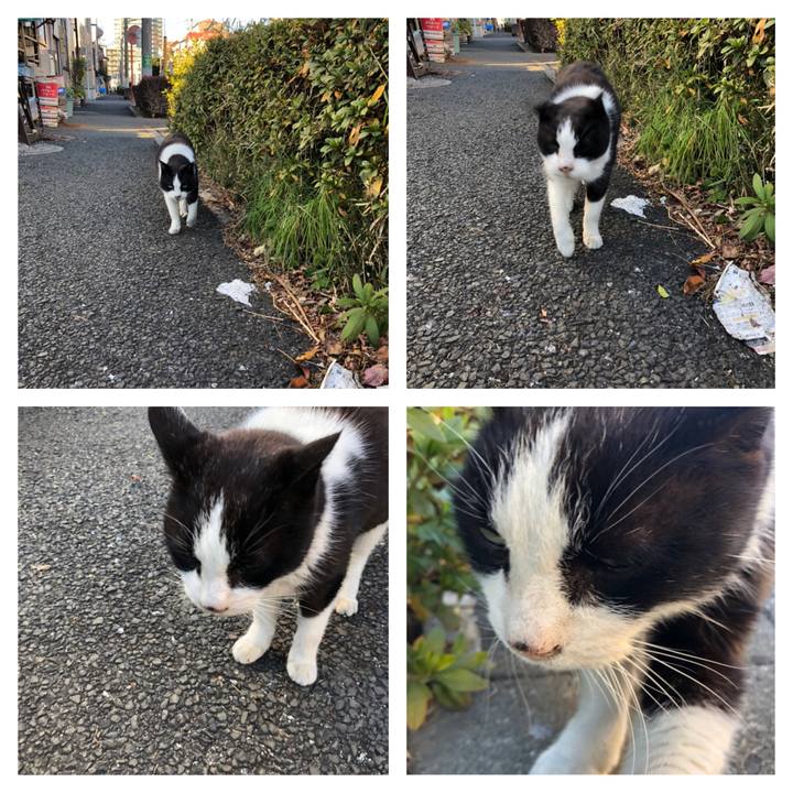 7102ccf7 a7f2 4e2b b0b8 bfd8484e1b6e 1547195940317