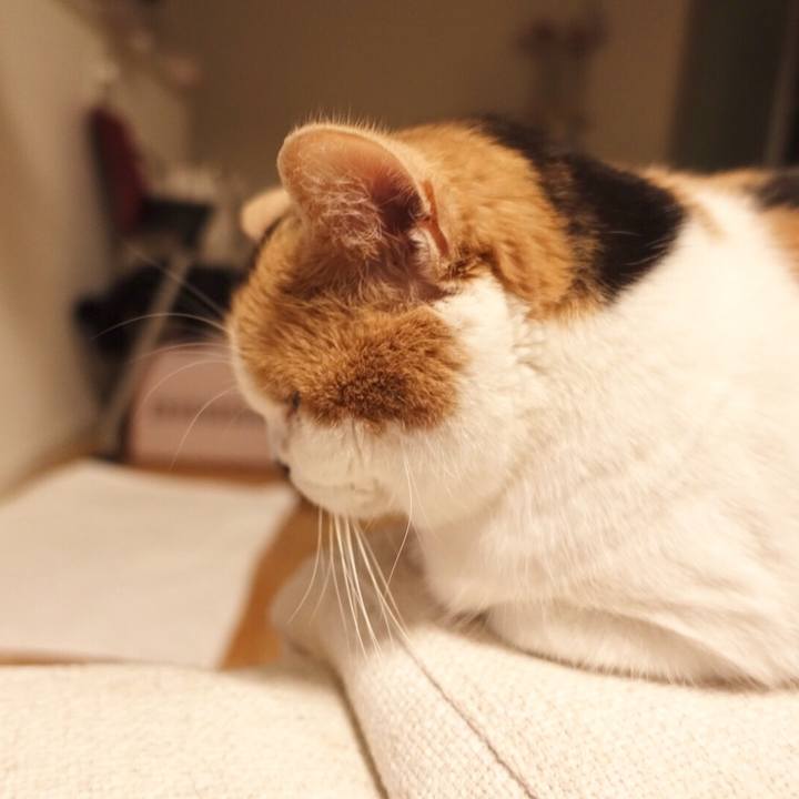 7102d9a8 1968 45bb b05b 455c3a378642 1514044969675