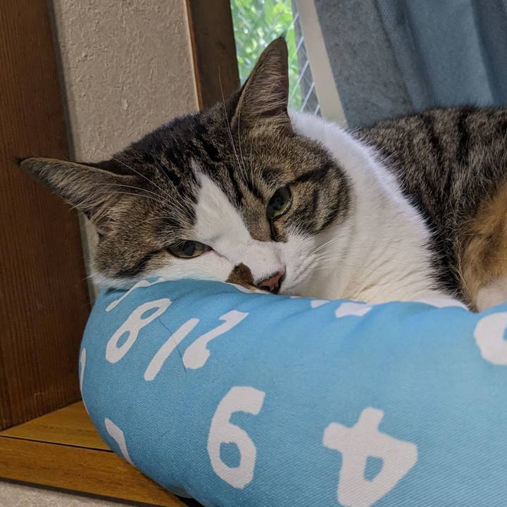 71031c12 a118 4549 b4e3 8e804f3612ad 1687389198166