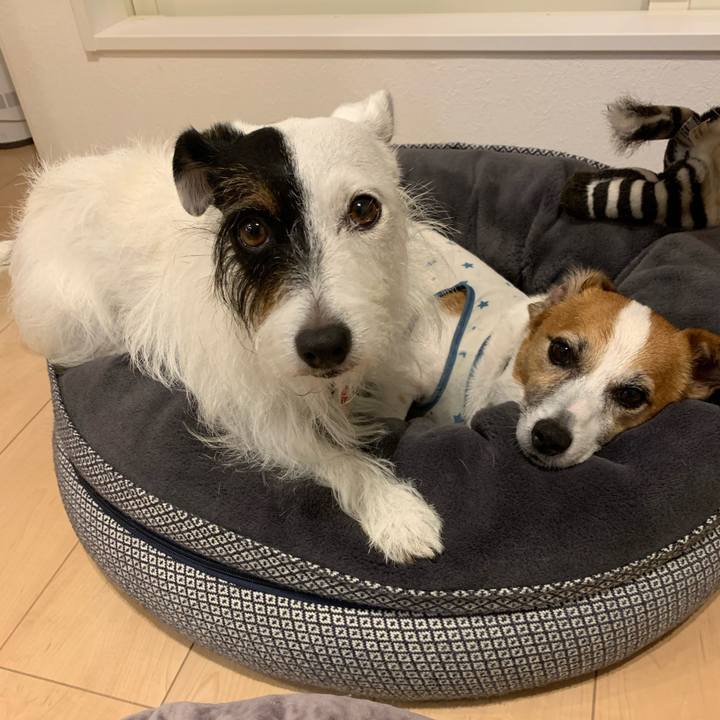 710328b7 8b92 4285 a5a2 f5787b63666c 1632051017933