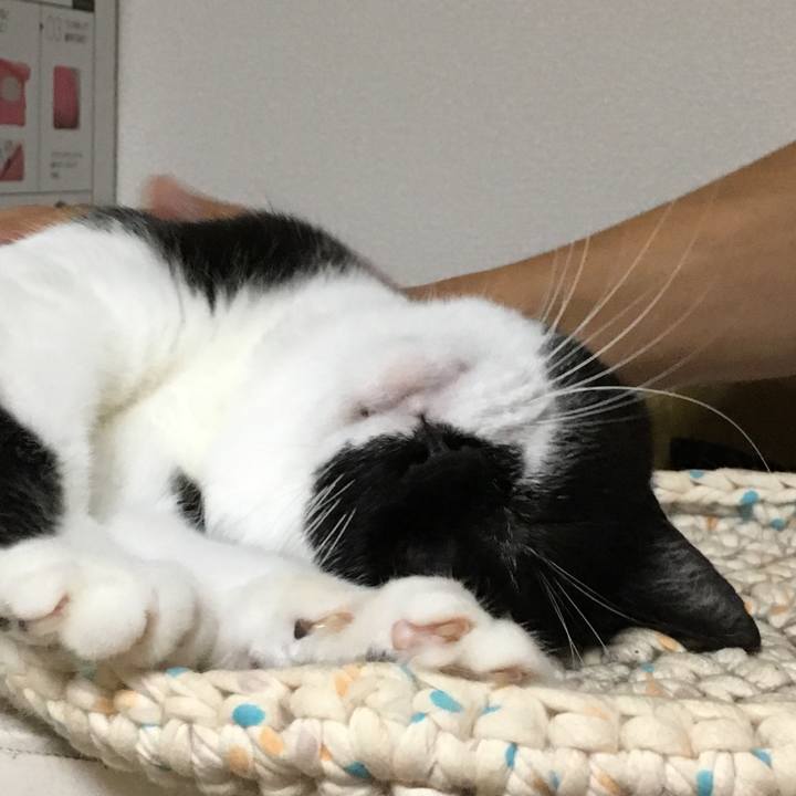 71035618 a65a 4cc5 b166 bc42089e589d 1569074235044