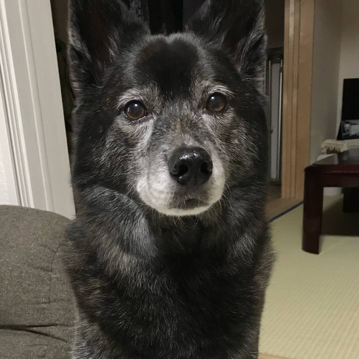 71037edc efa6 4197 adcb d6c0bd7e6c94 1686712492201