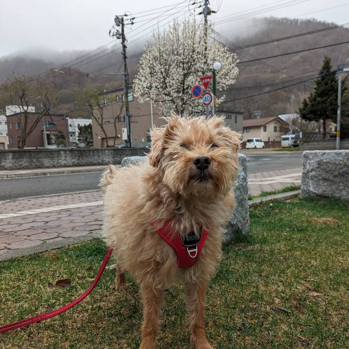 710381de fda5 42c0 989b d377075bd359 1713579923174