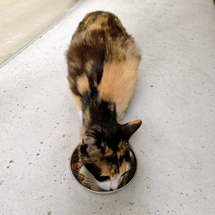 7103944c 5ccd 4ba1 8f8b 3b944e6f8b62 1562454123549