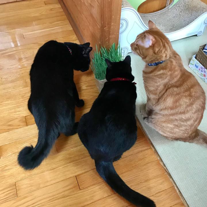 7103a4c5 7c7a 475d 979f 44f0797803cc 1537709343475