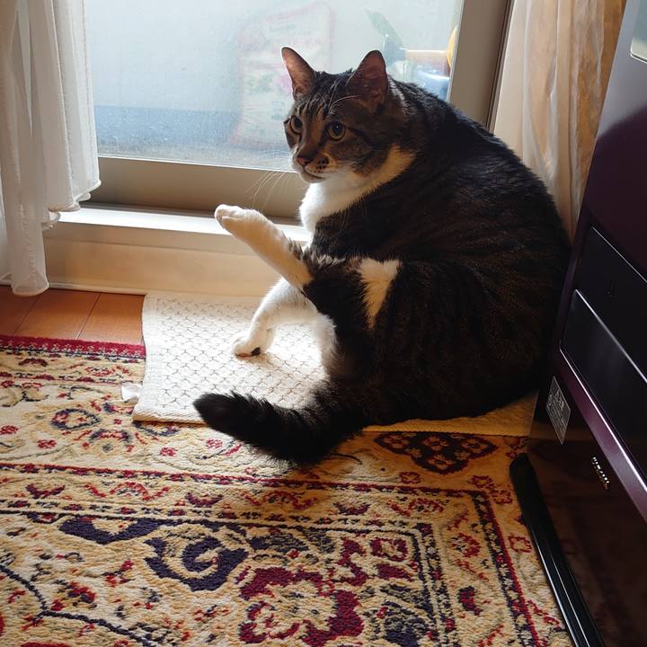 7103a770 a06d 4f67 9fc1 70b942b03d3a 1637626439177