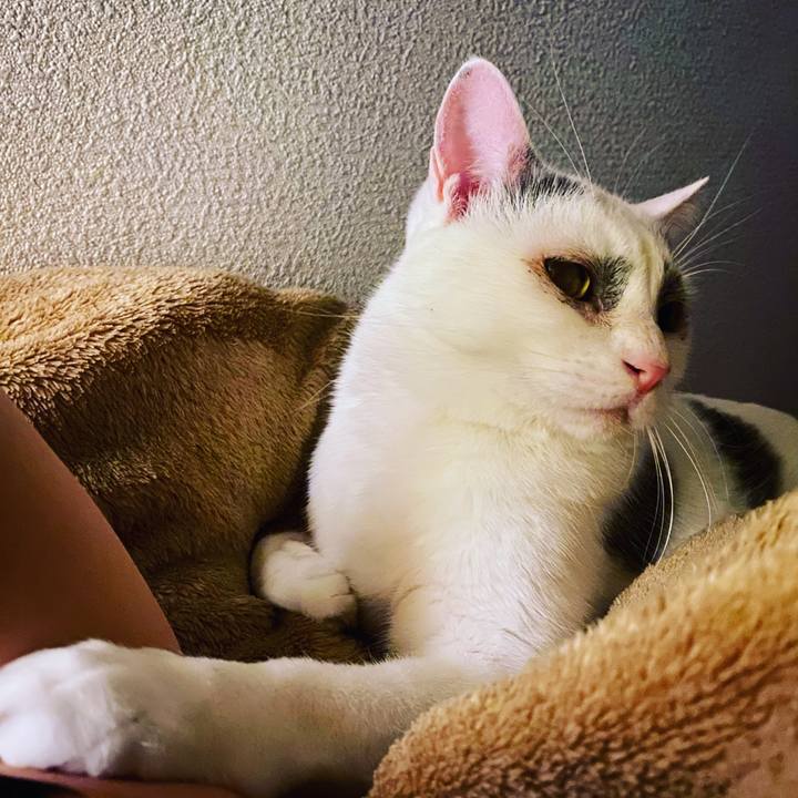 7103aece 5635 47a8 870a 222ef78f1f9e 1577214759989